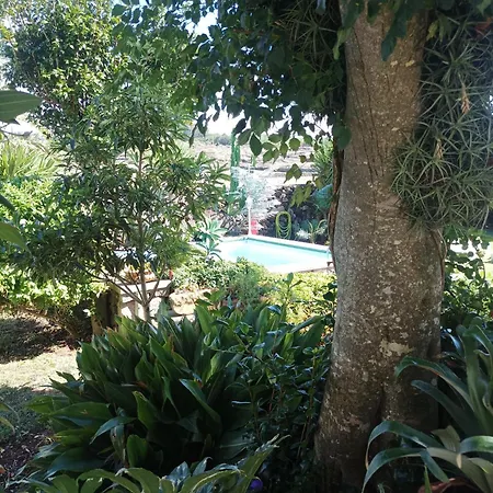 Casa Do Platano *