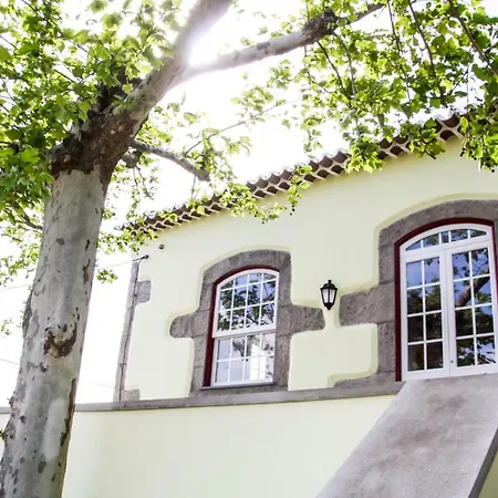 Летний дом Casa Do Platano Cinco Ribeiras