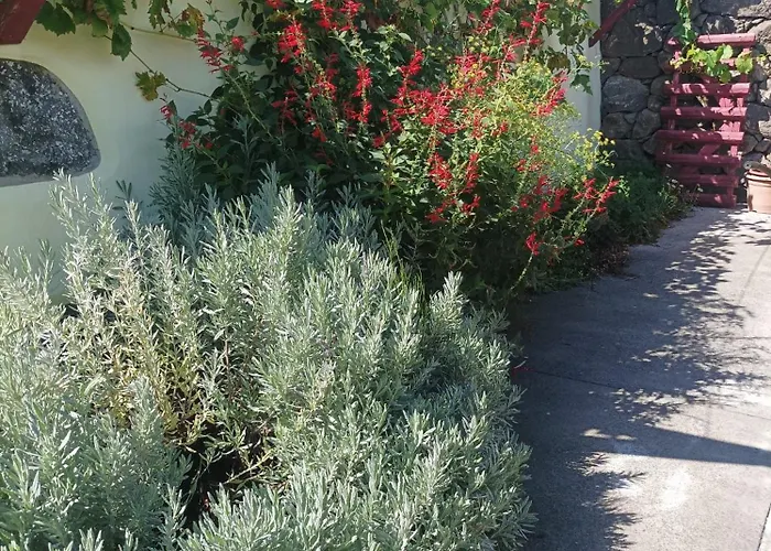 Casa Do Platano 컨트리하우스